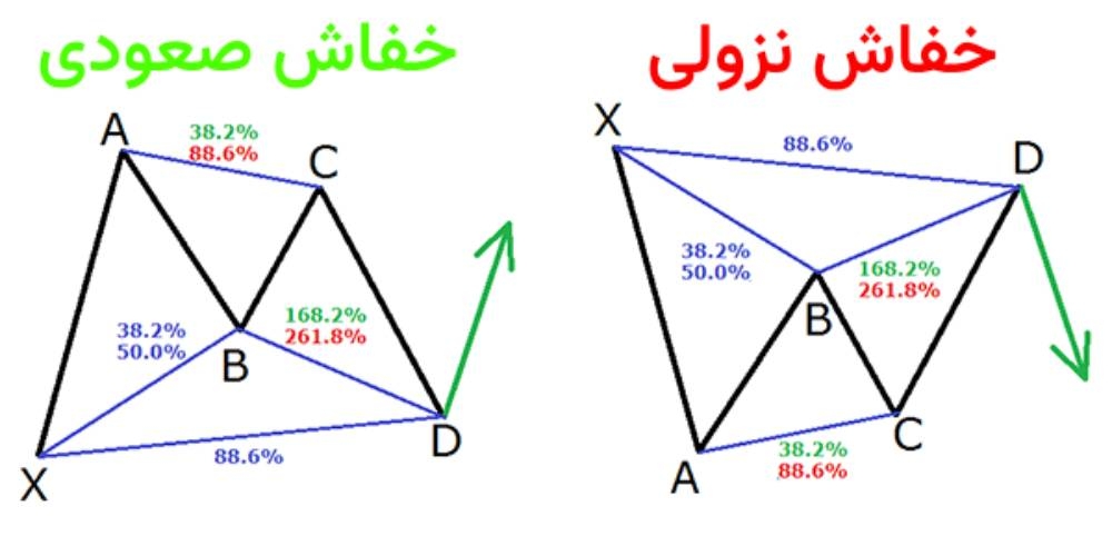 الگوی هارمونیک خفاش