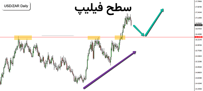 سطح فیلیپ در اسمارت مانی