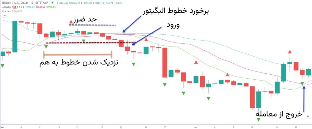 استراتژی فراکتال و الیگیتور