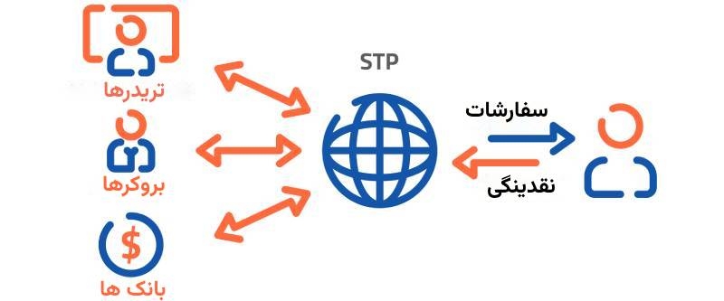 حساب STP چیست