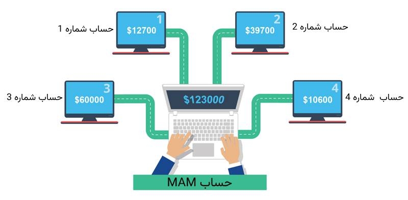 حساب mam در فارکس