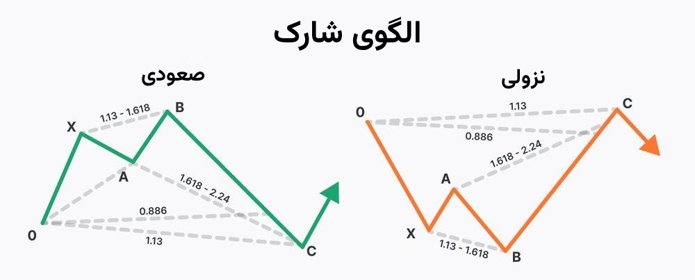 انواع الگوی شارک