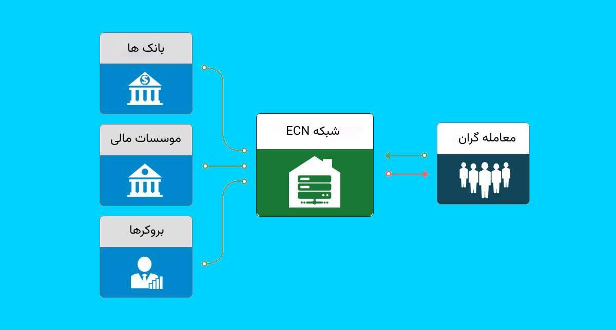 شبکه ecn