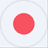 undefined1