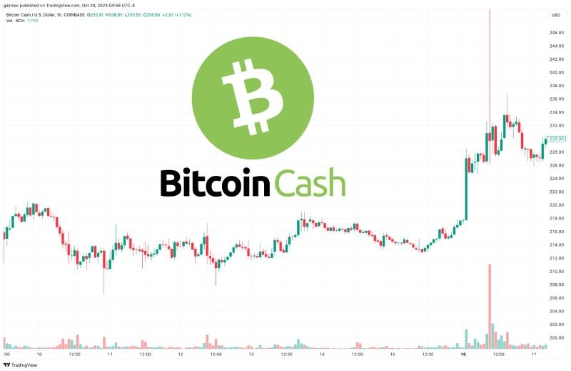 حجم معاملات بیت کوین کش