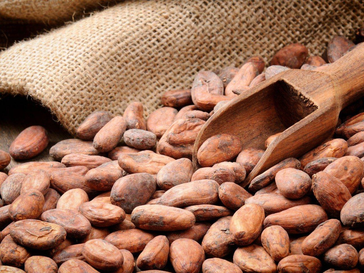 نماد معاملاتی کاکائو در فارکس