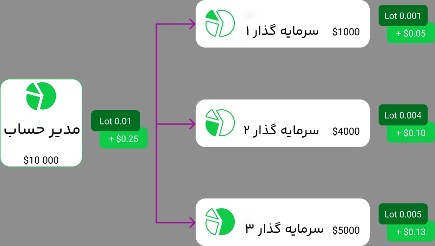 حساب پم در فارکس