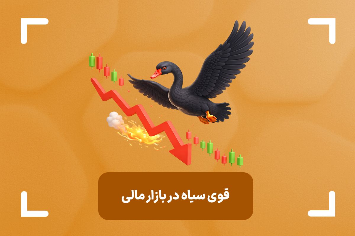 قوی سیاه در بازار مالی چیست؟ + بررسی کامل نظریه قوی سیاه